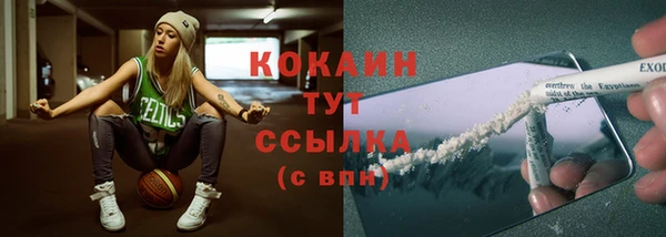 твердый Майский