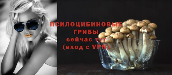 твердый Майский