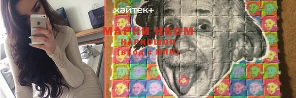 твердый Майский