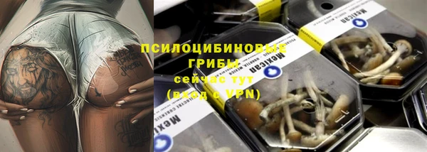 кокс Магас