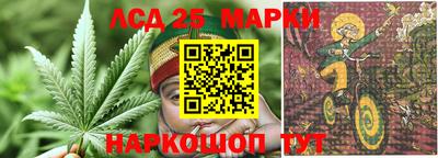 наркотики Будённовск