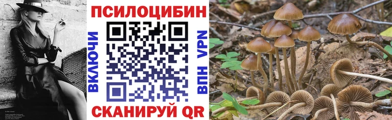 ссылка на мегу   Звенигород  Псилоцибиновые грибы ЛСД 