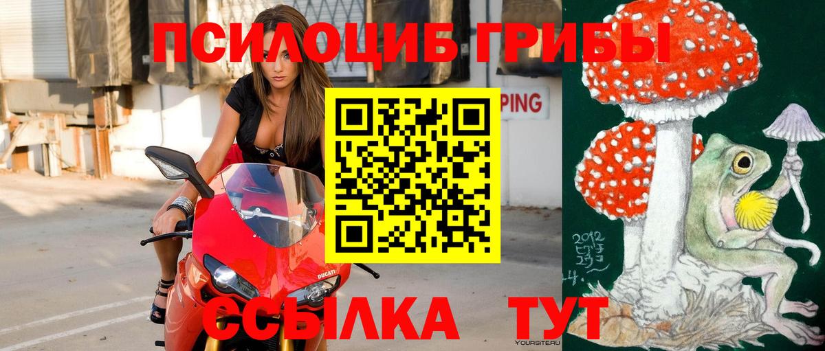 Галлюциногенные грибы прущие грибы Звенигород