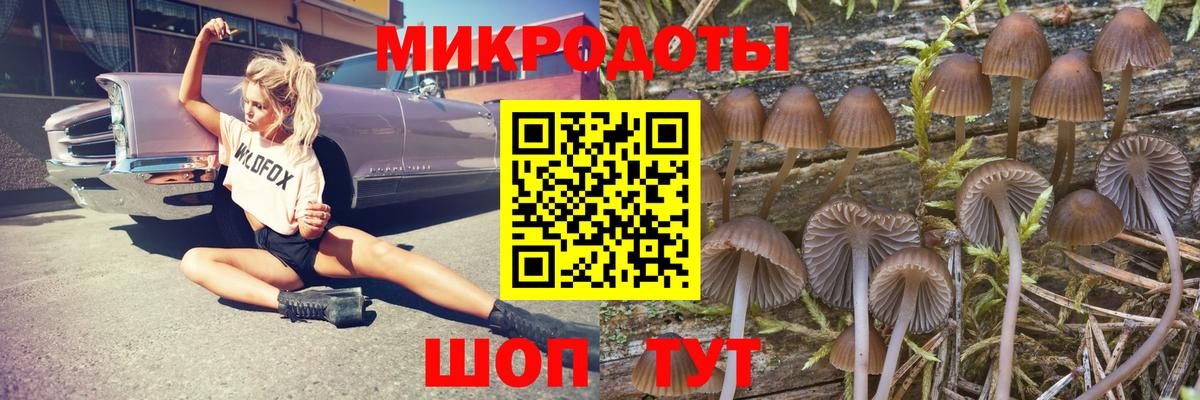 Звенигород  Галлюциногенные грибы мицелий  Псилоцибиновые грибы GOLDEN TEACHER  Вход с VPN 