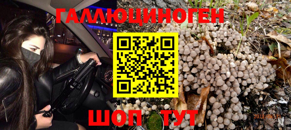 Псилоцибиновые грибы MAGIC MUSHROOMS Звенигород